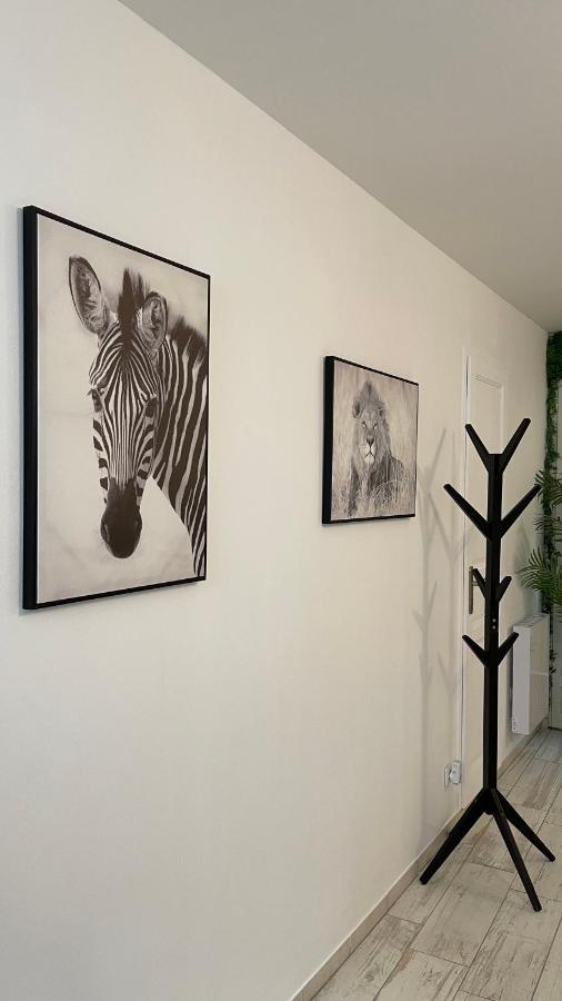 Tous'O'Zoo, Au Coeur Du Centre-Ville サン・テニャン エクステリア 写真