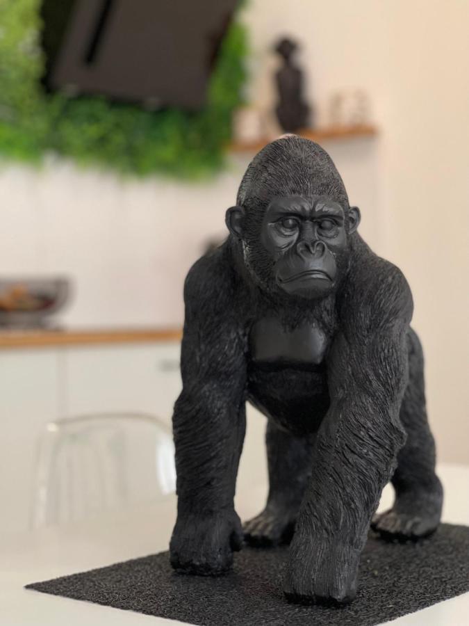 Tous'O'Zoo, Au Coeur Du Centre-Ville サン・テニャン エクステリア 写真