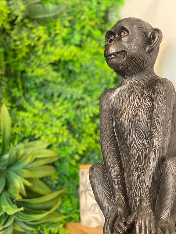 Tous'O'Zoo, Au Coeur Du Centre-Ville サン・テニャン エクステリア 写真